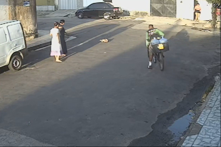 Em imagens de câmera de segurança, um homem é visto acertando o animal com algo similar a uma pedra
