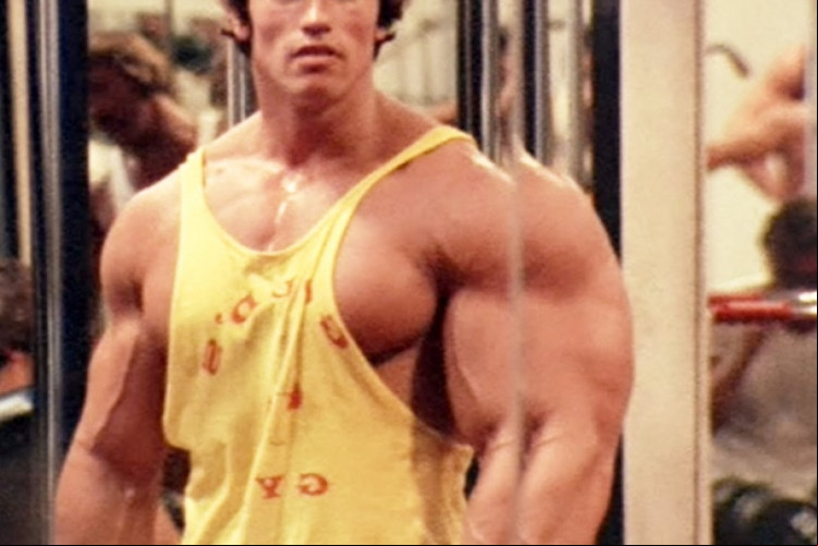 Arnold Schwarzenegger