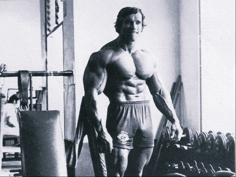 Arnold Schwarzenegger ganhou o apelido de "carvalho austríaco", comparando seus músculos à rigidez e espessura da árvore Arnold Schwarzenegger ganhou o apelido de "carvalho austríaco", comparando seus músculos à rigidez e espessura da árvore