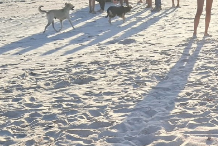 Homicídio foi registrado na tarde desta sexta-feira, 21, na Praia do Caça e Pesca