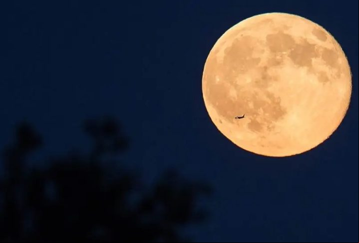 Dos 12 astronautas que pisaram na Lua em missões bem sucedidas, apenas 4 estão vivos. Além de Aldrin e Duke, estão vivos David Scott e Harrison Schmitt. Veja os outros astronautas que já estiveram no satélite natural da Terra!