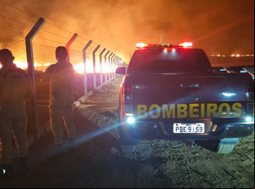 Mais de 2000 incêndio em vegetação já foram registrados este ano 
