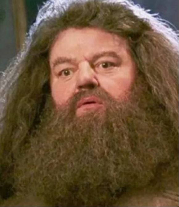 Robbie Coltrane - Seu grande sucesso, inclusive atraindo o carinho das crianças , foi o gigante Rubéo Hagrid, o guardião de Hogwarts. Ele morreu em 14/10/22 aos 72 anos.