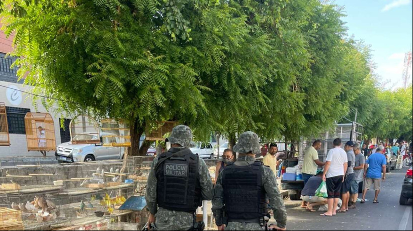O resgate aconteceu por meio do Batalhão de Polícia Militar Ambiental (BPMA), da Polícia Militar do Ceará (PMCE)