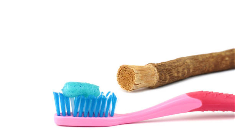 Galho de árvore que limpa dentes viraliza no TikTok; entenda tudo sobre o Miswak, bastão de mastigação originário dos povos antigos