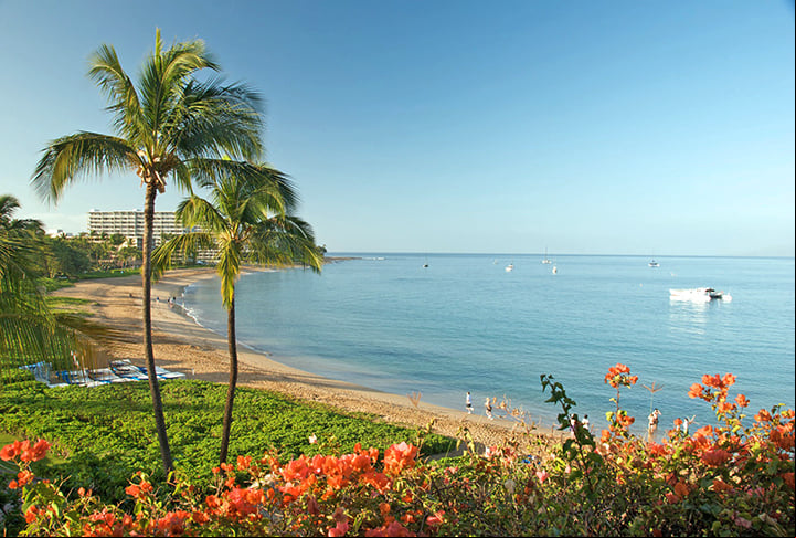 Com uma população de mais de 1,4 milhão de pessoas, o Havaí é um destino turístico popular, conhecido por suas belas praias, clima tropical e cultura única.