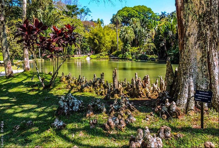 O Rio de Janeiro ainda tem muitos lugares para contato com a natureza, como o Jardim Botânico, o Parque Lage, Quinta da Boa Vista, zoológico, Floresta da Tijuca, Mureta da Urca, Marina da Glória, entre outros...