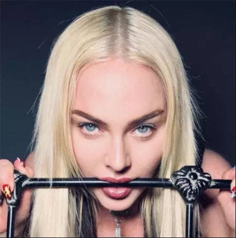 Atrevida, polêmica, surpreendente, o fato é que Madonna tem uma legião de fãs. Veja fatos de sua vida desde a infância até o sucesso estrondoso que a tornou um ícone mundial.