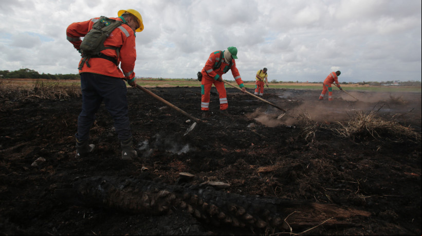 Bombeiros combatem incêndio no Cocó