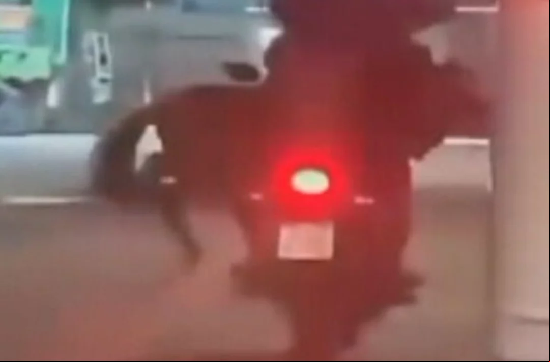 Em novembro de 2024, dois episódios chocaram as pessoas. No primeiro, um motociclista carrega o cavalo na garupa. O animal está visivelmente desconfortável e com dificuldade de equilíbrio, certamente com dor pela posição inadequada. Foi na cidade de Nova Iguaçu.
