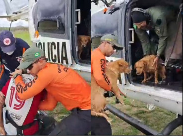 Idoso foi resgatado com dois cachorros de zona rural de Independência após enchentes 