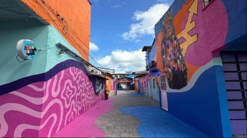 O Beco Céu é um espaço criativo dentro da Favela Céu onde os programas e projetos do Instituto Pensando Bem são desenvolvidos
