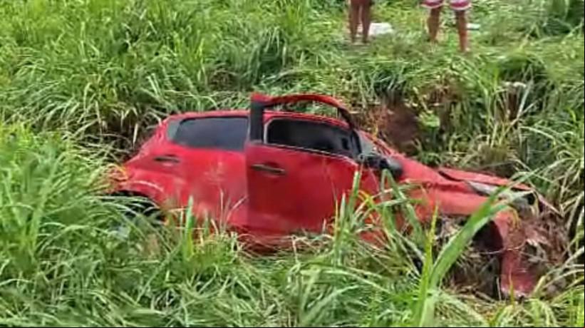 Veículo caiu no canteiro central da rodovia