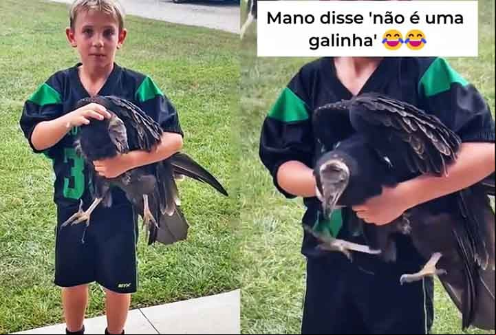 “Esse garoto é tão calmo… assim como o urubu”, comentou um internauta. Outro brincou: “O abutre está definitivamente ando por uma crise existencial. Você consegue ver a dúvida existencial nos olhos dele”.