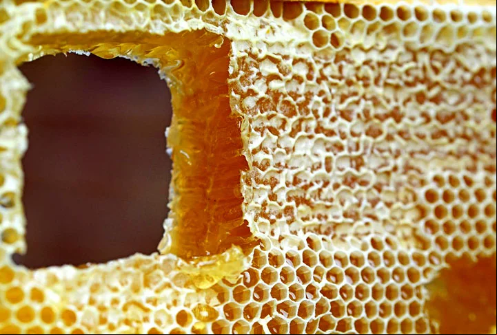 O favo de mel, portanto, é a estrutura hexagonal de cera de abelha que forma o interior das colmeias. Sua função é armazenar o pólen e o mel das abelhas.
