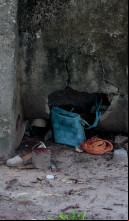 Fortaleza- CE, Brasil, 04-02-25: Moradores denunciam abandono de animais e falhas na revitalização da Lagoa da Maraponga. (Fotos: Lorena Louise / Especial para O POVO)