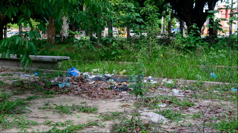 Moradores denunciam abandono de animais e demora na revitalização da Lagoa da Maraponga