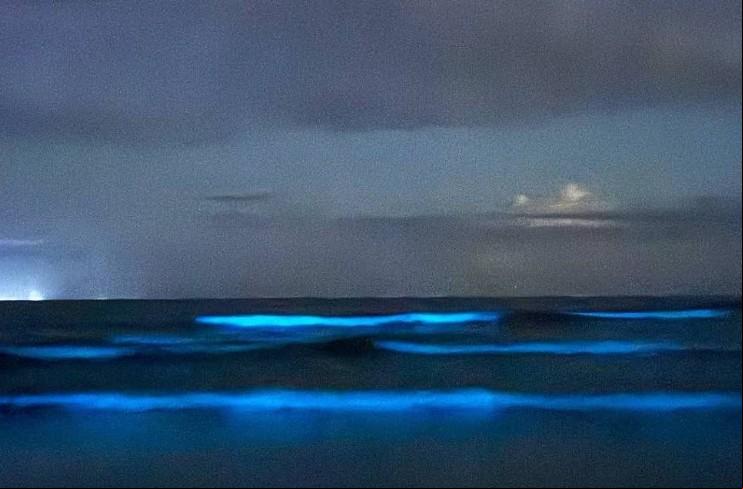 Moradores e turistas da vila de Itamambuca, em Ubatuba, no litoral norte de São Paulo, testemunharam um espetáculo luminoso no mar na noite de 07/03.
