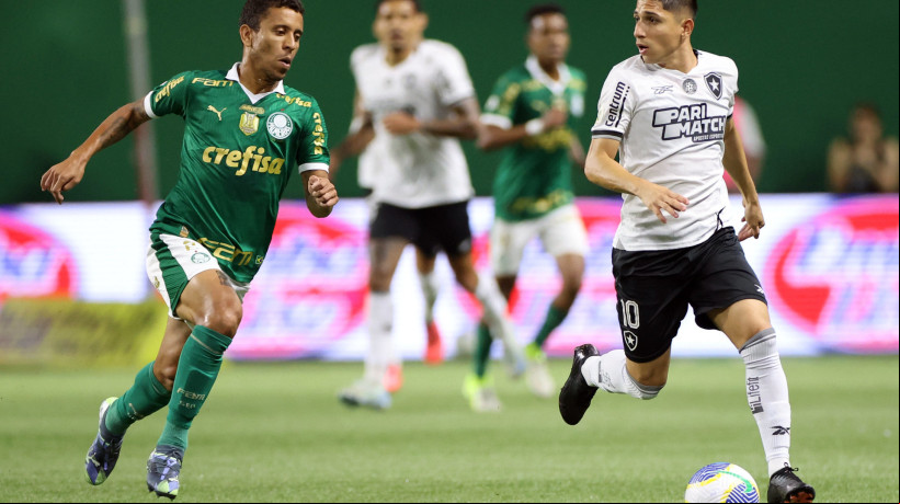 Palmeiras e Botafogo se enfrentam hoje, 30, pelo Brasileirão.  