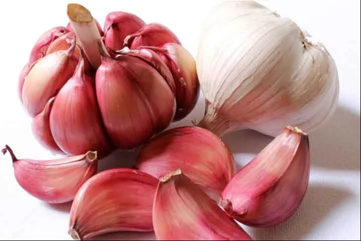 Devido à ação antioxidante e anti-inflamatória proporcionada pela alicina e pelo enxofre o consumo de alho ajuda a proteger as células do cérebro e a diminuir os danos causados pelos radicais livres.