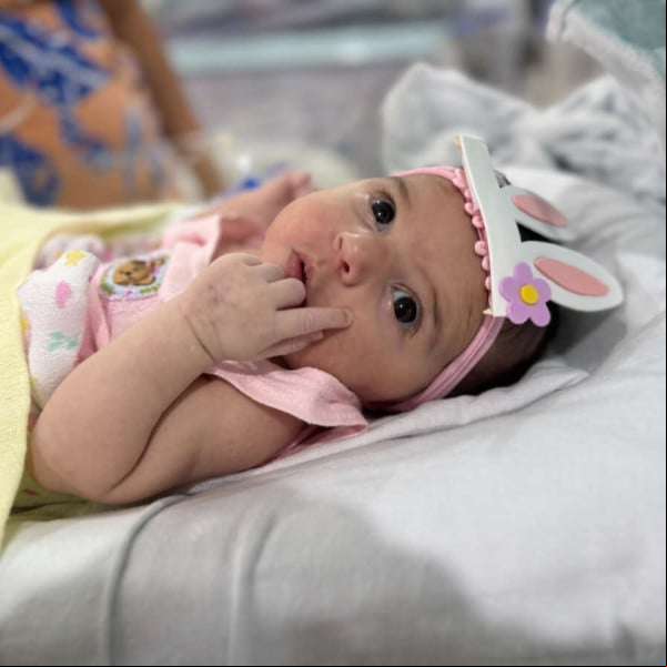Projetos alusivos à páscoa são realizados em hospitais de Fortaleza Projetos alusivos à páscoa são realizados em hospitais de Fortaleza