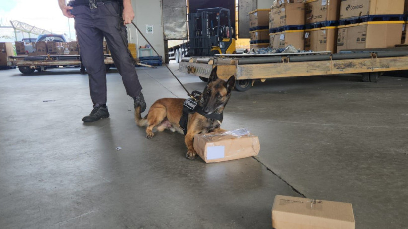 A operação contou com o e dos cães farejadores Bachar e Saymon, que identificaram as drogas.