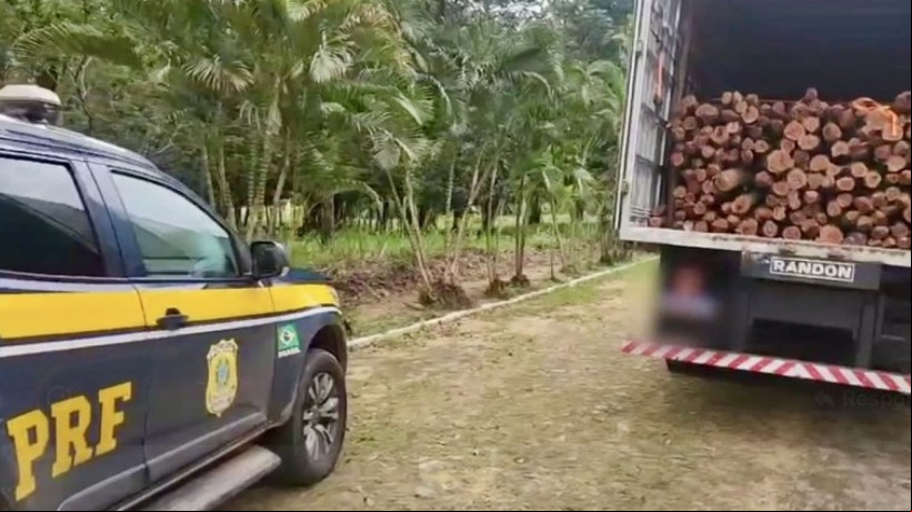A comercialização e o transporte sem licença de estacas da espécie