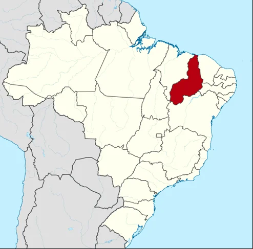O Piauí, no Nordeste do Brasil, é um estado pouco lembrado para turismo, mas tem belezas e atrações como o Parque Nacional da Serra da Capivara que também valem a visita. Veja curiosidades desse território com 3,2 milhões de habitantes em uma área de 252 mil km². Ao todo, são 224 municípios, sendo Teresina a capital.