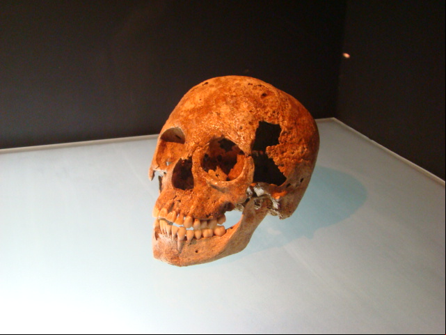 O Museu do Homem Americano fica no parque e tem reservas técnicas arqueológicas, paleontológicas, zoológicas e botânicas. E um vasto acervo em exposição.