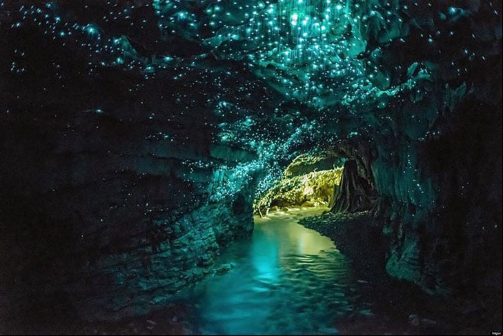 Waitomo Glowworm (Nova Zelândia) - Essa caverna atrai visitantes há mais de 120 anos. Foi descoberta por indígenas sob o campo de King Country, uma das principais regiões agrícolas do país.