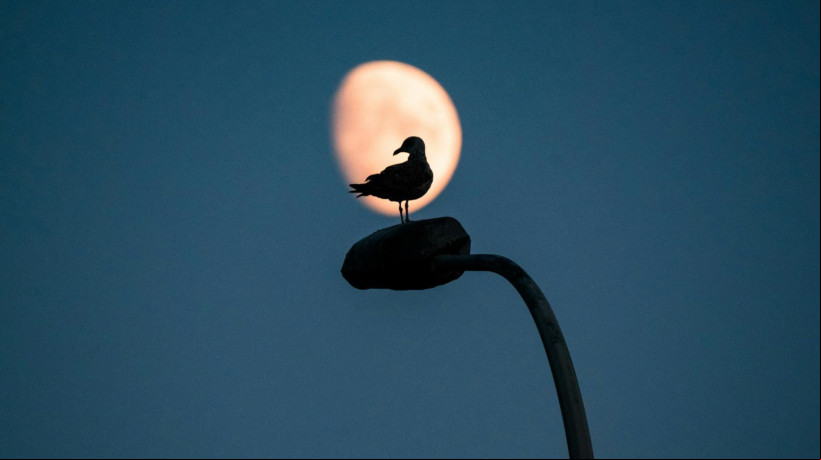 Veja qual fase da lua estamos neste domingo, dia 18 de maio de 2025; e confira calendÃ¡rio do mÃªs 