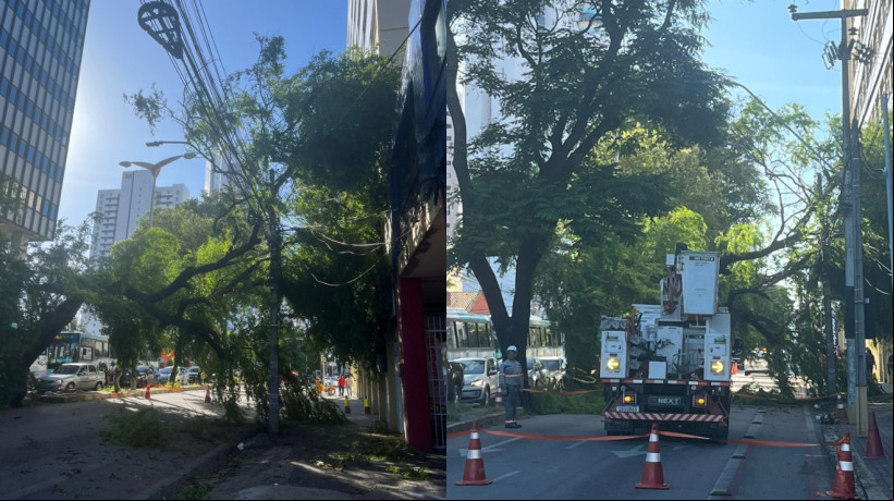 Os cruzamentos entre a avenida HerÃ¡clito GraÃ§a com a avenida Dom Manuel e a rua Rodrigues JÃºnior estÃ£o bloqueados para possibilitar a remoÃ§Ã£o da Ã¡rvore caÃ­da 