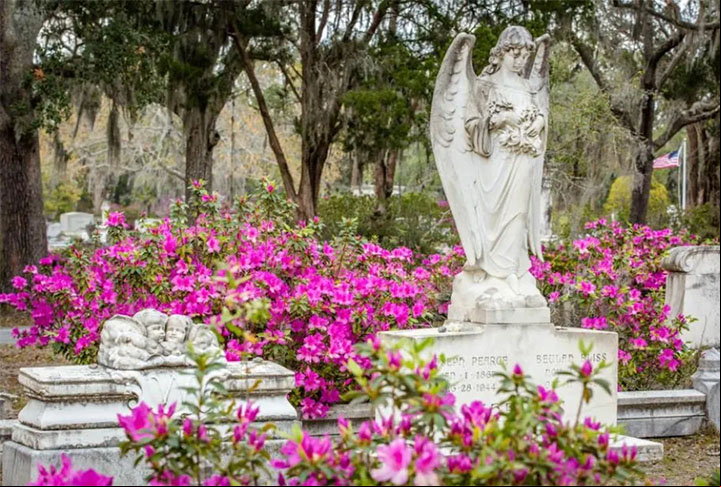 Cemitério Bonaventura (Estados Unidos): Localizado em Savannah, Geórgia, este cemitério está cercado por árvores antigas, jardins bem cuidados com rosas e azaleias e lagos tranquilos.
