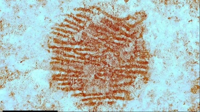 Um fragmento de pedra revela a mais antiga impressão digital humana já encontrada: um neandertal deixou sua marca há 43 mil anos na Espanha