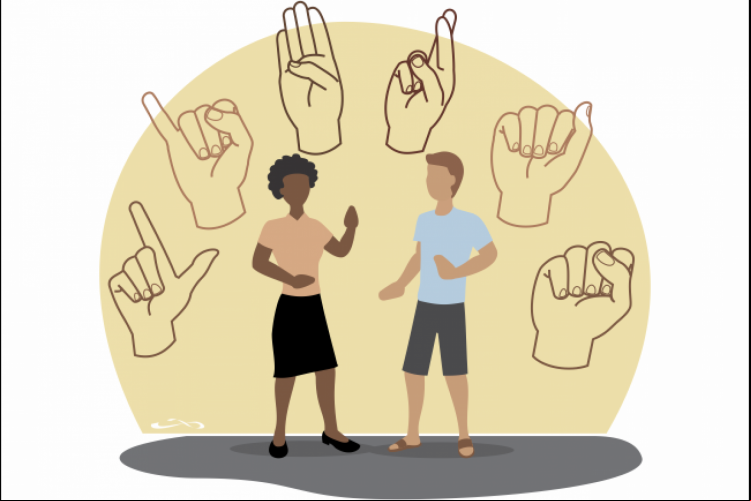 Libras e educação