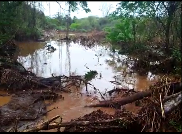 Chuva foi concentrada na região de Poço Cercado, localidade de Parambu 