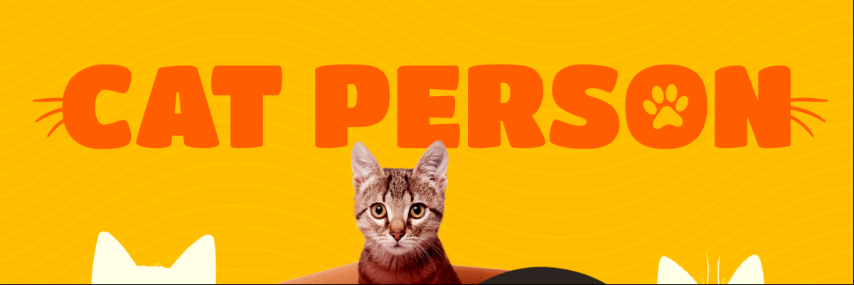 Quanto mais um menos um gato impacta no orçamento do seu tutor?
