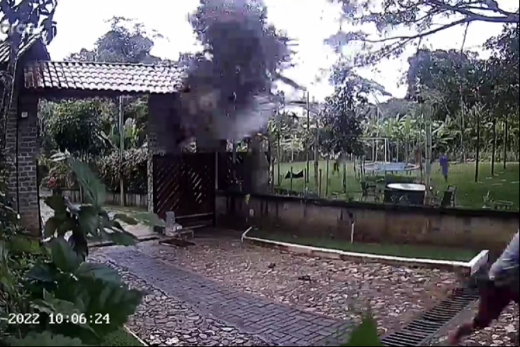 No momento da queda da árvore as duas pessoas presentes escaparam do esmagamento e saíram ilesas