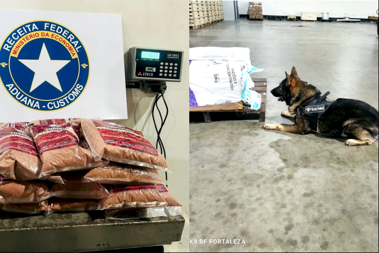 16kg de cocaína foram apreendidos no Aeroporto Internacional Pinto Martins