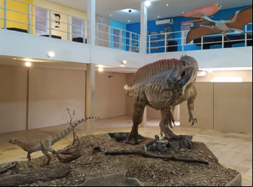 Museu de Paleontologia Plácido Cidade Nuvens terá nova sede 