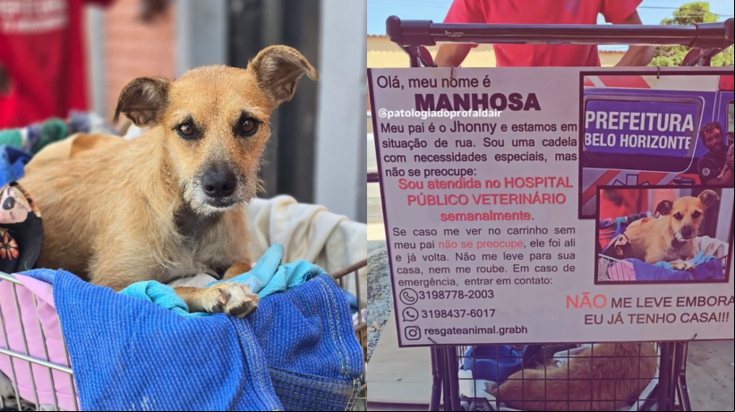 Antes de receber a plaquinha de aviso, Manhosa já tinha sido presenteada com um carrinho personalizado